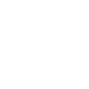 logo oficial de inic-10